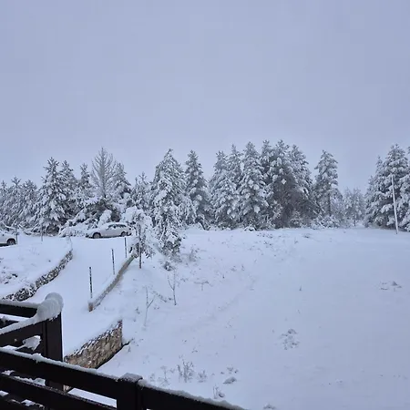 Шале Mountain House Forest *